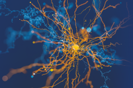Introduction to deep learning